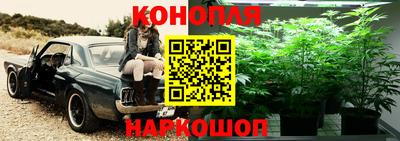 эйфоретик Северобайкальск